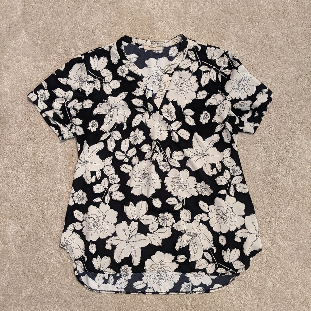 Women's V Neck Short Sleeve Curved Hem Sheer Chiffon Blouse